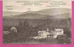 BÜHLERTHAL / EICHWALD   -    * KURHAUS HUNDSECK *    -   Verlag : M. PACHE Aus Achern   N° 810316 - Bühlertal