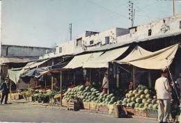 TANGER - MARCHANDS DE PASTEQUES - Shopkeepers