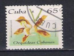 Cuba   1995  Mi Nr 3863  Orchid (a3p21) - Used Stamps