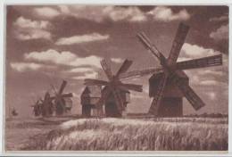 Moldova - Windmuhle In Bessarabien - Windmill - Moulin - Bessarabia - Moldavië
