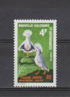 Nouvelle-Calédonie YT 348 ** : Cagou - 1967 - Unused Stamps