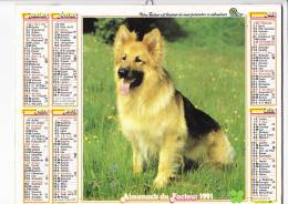 Almanach Du Facteur 1991, Berger Allemand, Chiots Beagles,  TOM Et JERRY,  Imprimeur OLLER - Groot Formaat: 1991-00