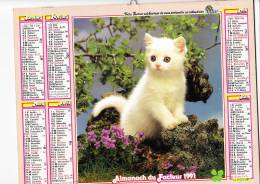 Almanach Du Facteur 1991, Chat Blanc, Chiens Yorkshires, Quimper (29), Grindelwald (Suisse), Imprimeur OLLER - Grand Format : 1991-00