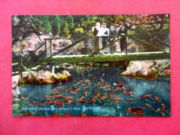 Bermuda  Ca 1910-- Not Postally Mailed---    Describing The Beauties Of The Devils Hole  Bermuda  ==ref 708 - Bermuda