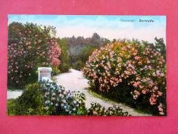 Bermuda  Ca 1910-- Not Postally Mailed---    Fairylands     Bermuda  ==ref 708 - Bermuda