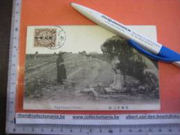 1 China Postcard - Nice Stamp  Pekin Pékin Peking Ming Dynasty 13 Tombs - Lion, Lion, Leeuw - Cina