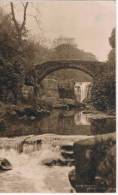 Jesmond Dene  Waterfall 2276 - Newcastle-upon-Tyne