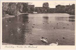 Landsberg Warthe Im Stadtpark Belebt Schwäne Auf Dem Teich Gorzów Wielkopolski 14.10.1942 Gelaufen - Neumark