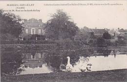 VENDEE MAREUIL SUR LE LAY CHATEAU DE M BUET  Editeur L Amiaud Obtenu Avec Plaques Jougla  OIES - Mareuil Sur Lay Dissais