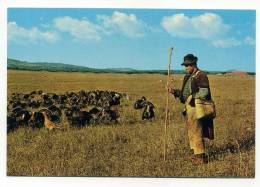 ALENTEJO, Costumes - Guardador De Perus - Beja