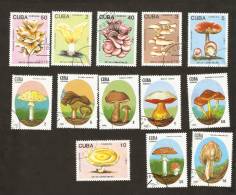 Bc2. Cuba, LOT Set Of 13 - 1988 - 1989 - Flora - Mushrooms Mushhroom - Usati