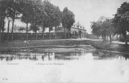 GRAMMONT - L'Etang Sur La Montagne - Circulée 1905 - Geraardsbergen