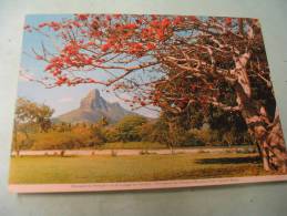 EL -MONTAGNE DU REMPART..... - Mauritius