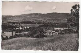 CPSM BONNE SUR MENOGE, VUE GENERALE, LE SALEVE, Format 9 Cm Sur 14 Cm Environ, HAUTE SAVOIE 74 - Bonne