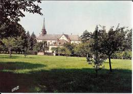 57 - Moselle - Couvent Saint Jean De Bassel - Près De Fénétrange - La Chapelle Et  Le Parc - Format 10,3 X 14,9 - 10711 - Fénétrange