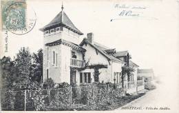 MONETEAU VILLA DES ABEILLES 1905 - Moneteau