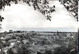 57 - Moselle - WELFERDING - Vue  Générale - Dentelée -  Format   10,5  X  14,8 - Volmunster