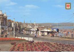 Royaume Uni - Angleterre - Dorset - The Promenade Weymouth Dorset - Weymouth