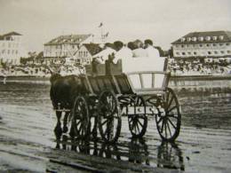 Cuxhaven Duhnen - Children - Horses  Coach  Carriage  RPPC    D81280 - Cuxhaven