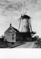 POORTVLIET (Zeeland) - Molen/moulin - Historische Opname Van Stellingmolen De Graanhalm, Uitgebrand In 1957. TOP! - Tholen