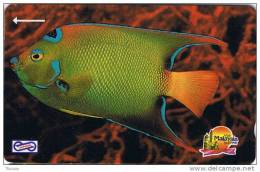 Malaysia, MLS-MU-24, $5, Blue Fish, 2 Scans.  19MSAA . - Malasia