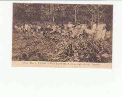 PORTUGAL - SÃO TOMÉ E PRINCIPE [056] - ILHA DO PRINCIPE - ROÇA ESPERANÇA - IDA PARA UM PIC-NIC - Sao Tome And Principe