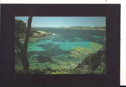 ###83, Ile De Port-Cros, Transparences, Un Parc En Forme D'îles, Avec Porquerolles, Vierge - Porquerolles