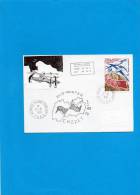 Pli MID - WINTER  Du 21/6/1991 ( CROZET ) - Unused Stamps