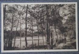 CPA 72 VIBRAYE FORET ETANG DE LA COUR DES BOIS 1953 - Vibraye