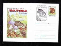 HEDGEHOG,ARICI,HERISON 1998,COVER,STATIONARY,ENTIER POSTAL,OBLIT.CONCORDANTE,ROMANIA. - Rodents