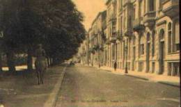 BRUXELLES-IXELLES "Avenue Louise" - Ed. P. - J. Flion, Bxl N° 65 - Ixelles - Elsene