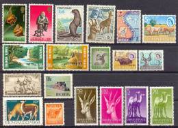 MR736 FAUNA ZOOGDIEREN HOND DOG CAT RHINO SQUIRREL HIPPO COW MONKEY CAMEL DEER HARE WOLF SEAL MAMMALS ASSORTMENT PF/MNH - Wild