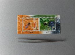 EUROPA CEPT ANNO 2005 MONTENEGRO FOGLIETTO  API /SHEET NUOVO FDC - 2005