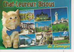 ###87, Limoges, Chat-Leureux Bisous, Avec 9 Vues Expliquées Au Verso, Vierge - Limoges