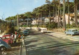 CPSM - 33 - LE PYLA-sur-MER - A Travers La Station Au Milieu Des Pins - 736 - Sonstige & Ohne Zuordnung