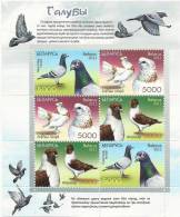 BY 2012-880-2 PIGEONS, BELORUSSIA, S/S, MNH - Tauben & Flughühner