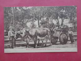 Panama   Mode Of Transportation  Interior Panama T Ca 1910- Not Postally Mailed  ====  -  Ref 715 - Panama