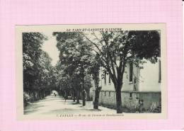 7.    CAYLUS     -    Route De Livron Et Gendarmerie - Caylus