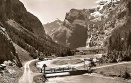 Kandersteg Gasternial Wildelsigen - Kandersteg