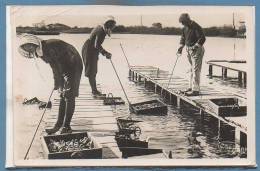 33 - ANDERNOS -- Dans Les Parcs à Huitres - 1950 - Andernos-les-Bains