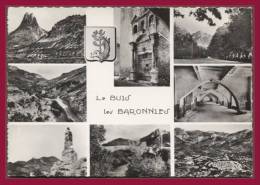 LE BUIS-LES-BARONNIES. Multivues. (C.P.S.M.) - Buis-les-Baronnies