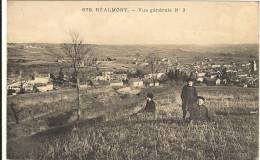 81 _ Réalmont_ Vue Générale N°3 - Realmont