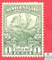 Canada  Newfoundland # 115 Scott /Unisafe - Mint - 1 Cent - Trail Of Caribou - Dated 1919 / Caribou - 1908-1947