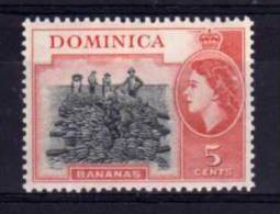 Dominica - 1954 - 5 Cents Definitive/Bananas - MNH - Dominica (...-1978)