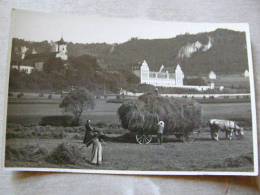 Beuron - Collecting Hay    RPPC  - D81696 - Sigmaringen