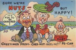 Cpa Usa, Humorous,humour,illustrateur, Sure We're Nuts But Happy,baby, écureuil - Altri & Non Classificati