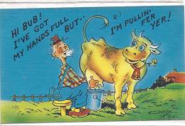 Cpa Usa, Humorous,humour,illustrateur,hi Bub! I'he Got My Hands Full But I'm Pullin' Fer Yer!, Vache, Cow - Other & Unclassified