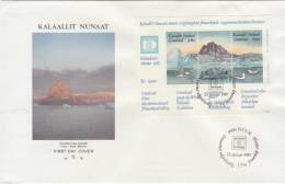 GREENLAND 1987 FDC SHEET With Petrels. - Palmípedos Marinos