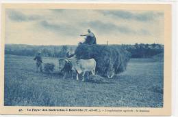 82 //  Le Foyer Des Indirectes De REALVILLE, Exploitation Agricole   LA FENAISON    ANIMEE - Realville