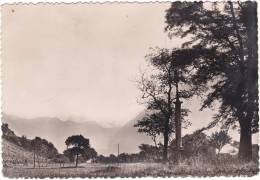 13222B   Vallée  De  FAVERGES  Avec  Le  Mont  Blanc. - Faverges